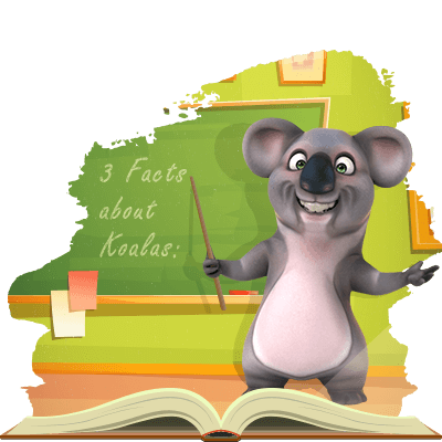 3 facts about koala